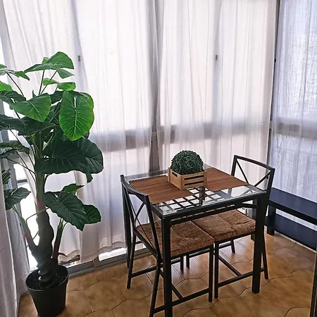 Estudio Oasis Urban